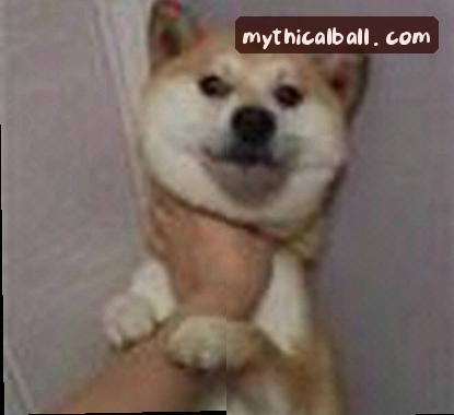 黄俊